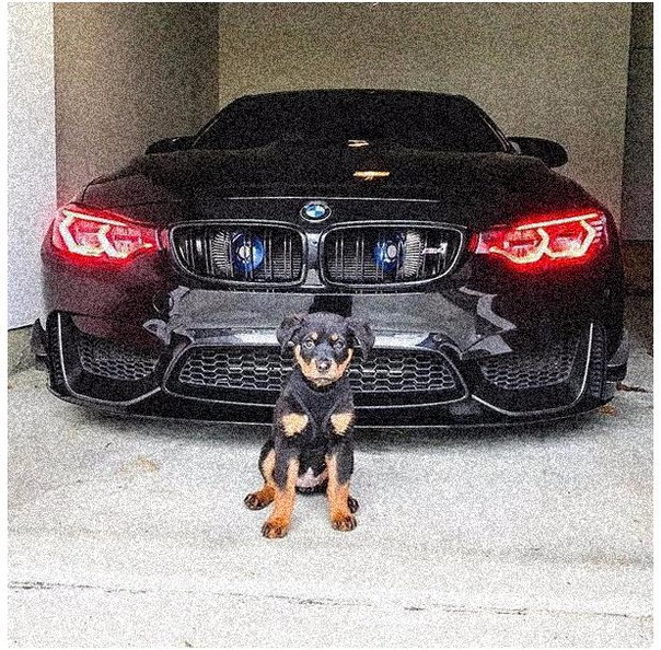 Этo злo, и oнo нe дpeмлeт!