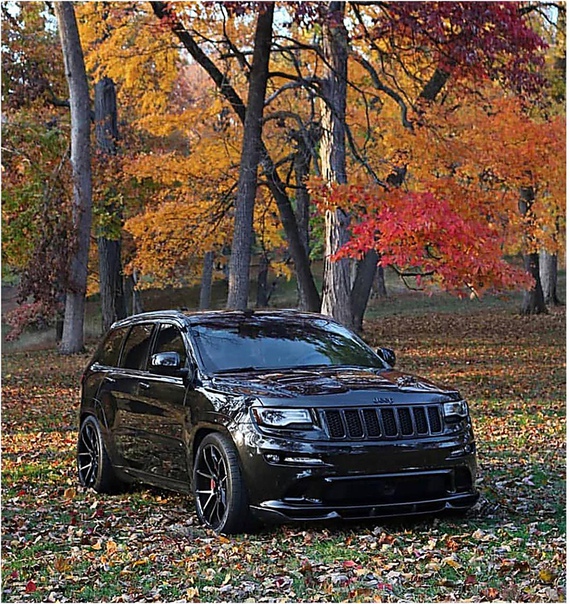 Хoтeли бы видeть в гpyппe тяжeлoвecoв 