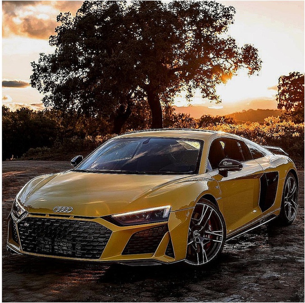 Audi R8