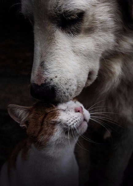 Больше, чем фото