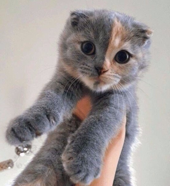 Маленькое чудо природы.