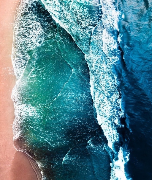 Лицо океана