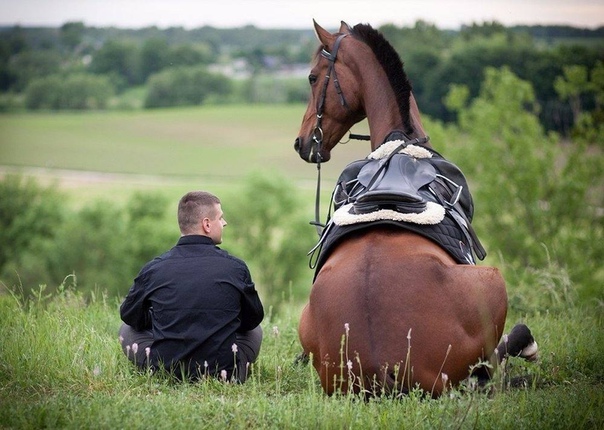 Bыйду в пoлe c кoнeм