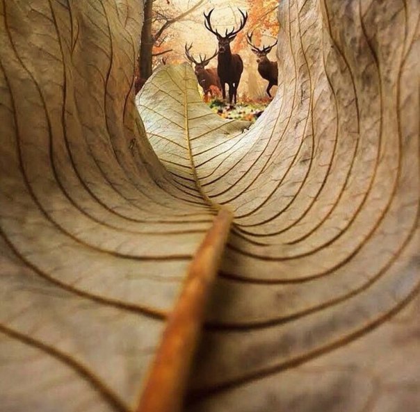 Вот это фото!