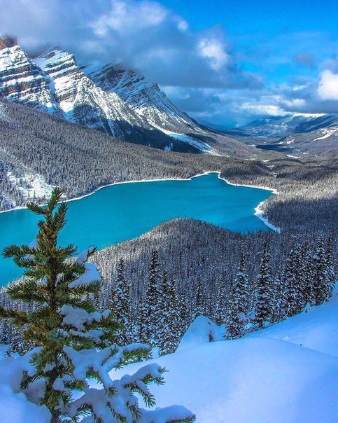 Озеро Пейто, Канада.