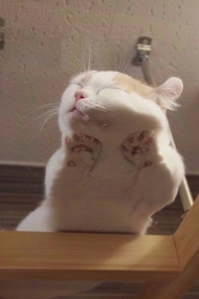 Необычный ракурс