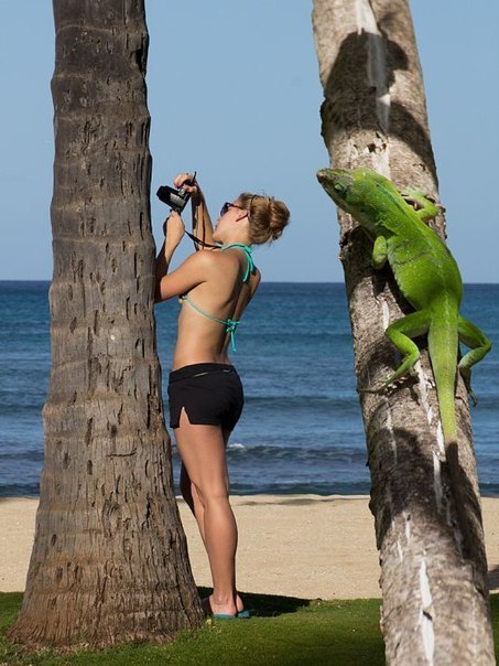 Не там фоткаешь)