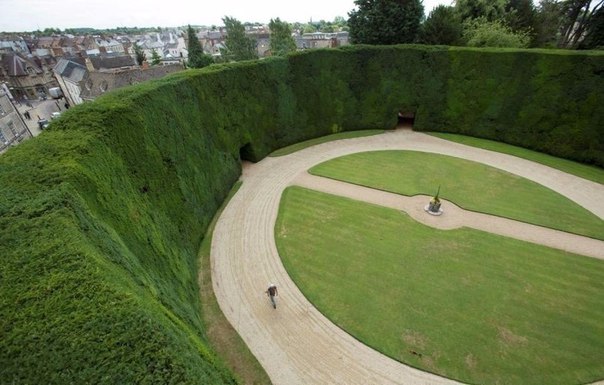 Самая высокая живая изгородь, которой уже более 300 лет, Англия, Великобритания