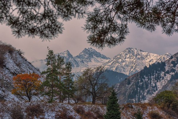 Эстетика гор, Алматы, Казахстан