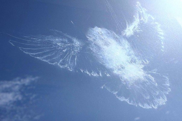 Иногда облака рисуют невероятные картины !