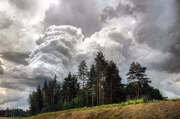 Иногда облака совсем не похожи на белогривых лошадок.