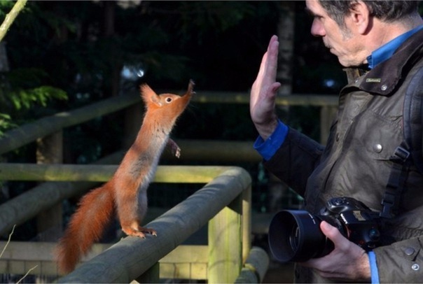 Дай пять чувак !