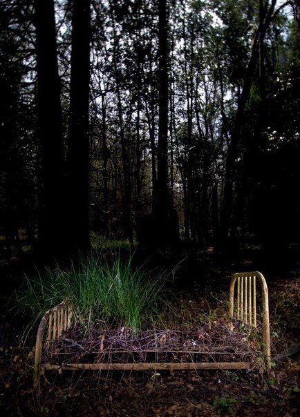 Добрых снов...