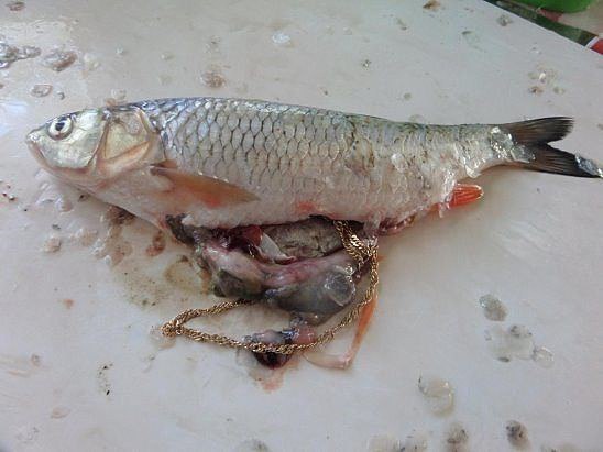 Теперь жена собирает меня на рыбалку сама.)