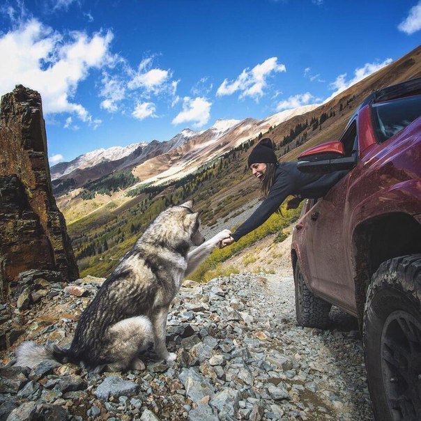 С лучшим другом.