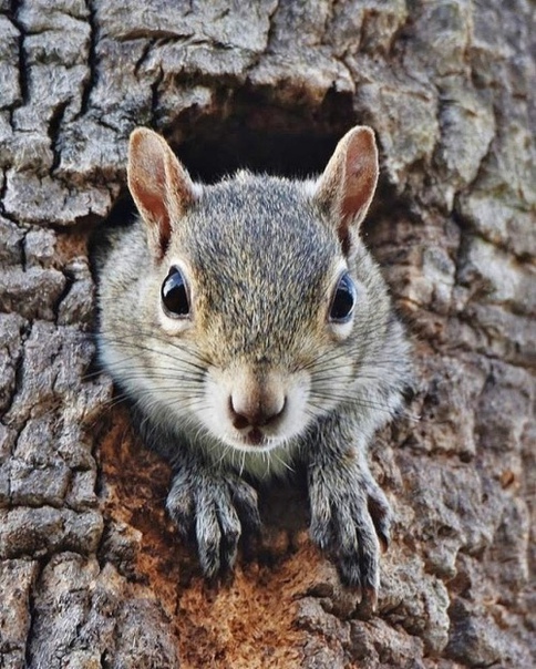Всем привет :)