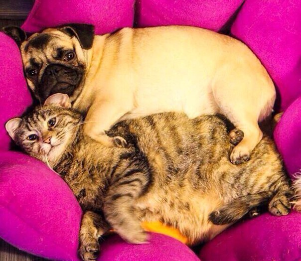 Когда приехали от бабушки