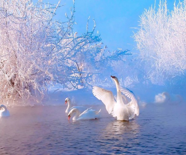 Алтайские шедевры.