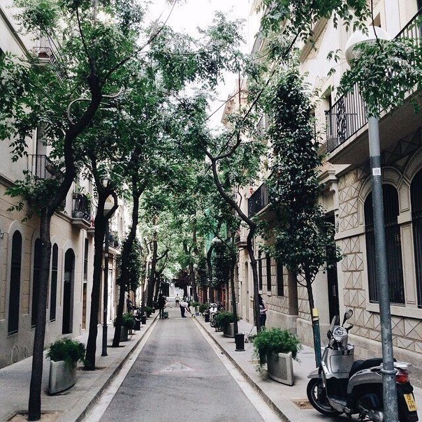 Улочки Барселоны, Испания