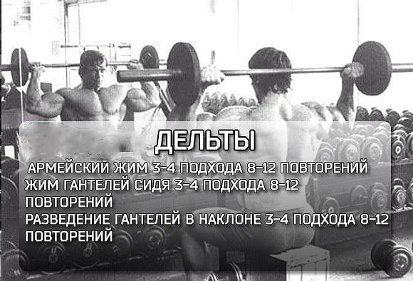 Вот тебе основные упражнения, попробуй качественно прочувствовать каждое повторение, каждый подход и будет тебе сила, будет тебе масса 