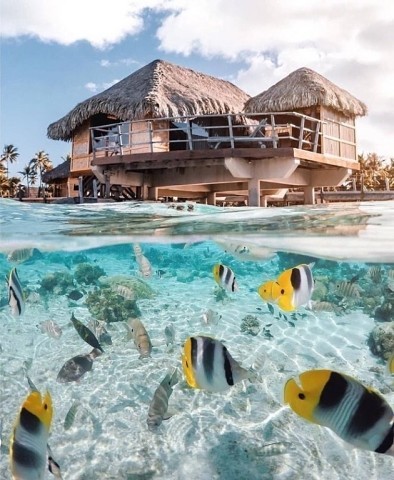 На стыке двух миров, Таити