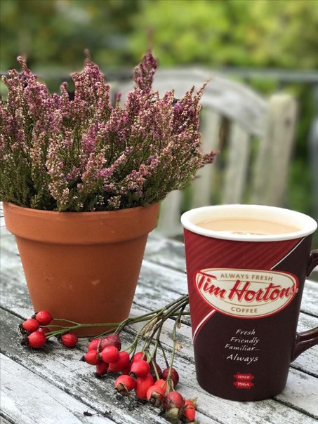Доброго утра и прекрасной Пятницы!! Пусть чудеса случаются в любую погоду!