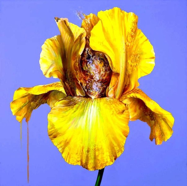 Художник Carmelo Blandino.