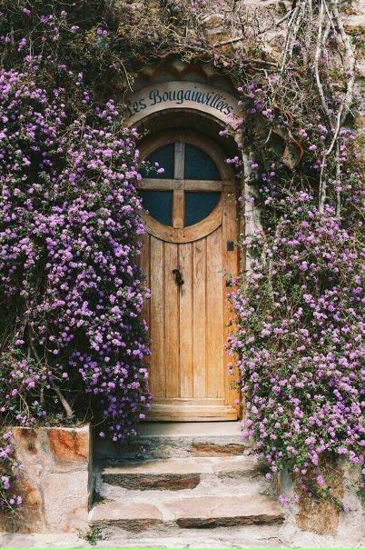 Нельзя пройти мимо фотографий Прованса 