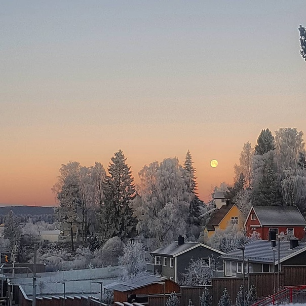 Fjellhamar 