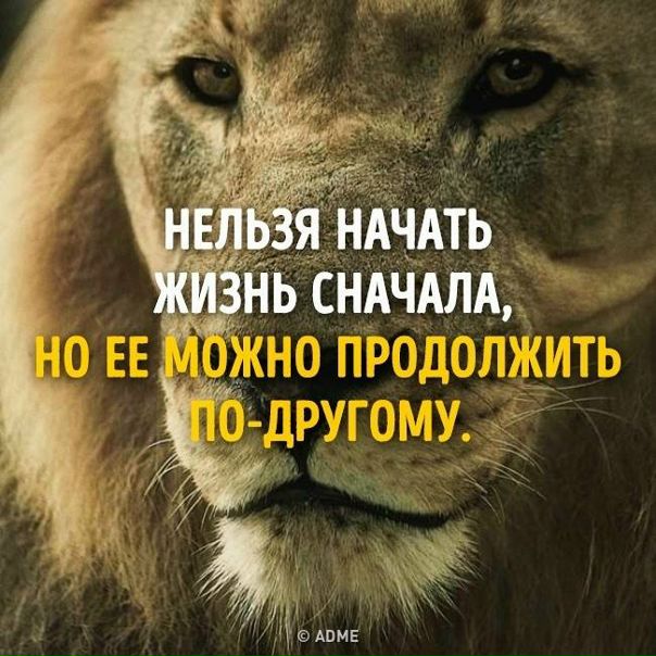 Обнуление и генеральная уборка своей жизни: goo.gl/1LOc6t