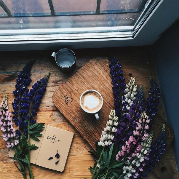 Доброго утра, отличного настроения и заряда бодрости на весь день!!