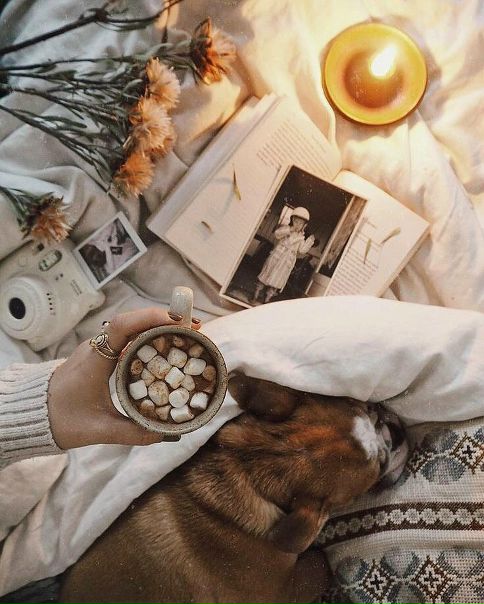 Новый день - повод для новых свершений. Не откладывайте в долгий ящик дела, которые давно ждут своего часа. Чем больше дел закроете, тем больше новой энергии получите. Доброе утро!