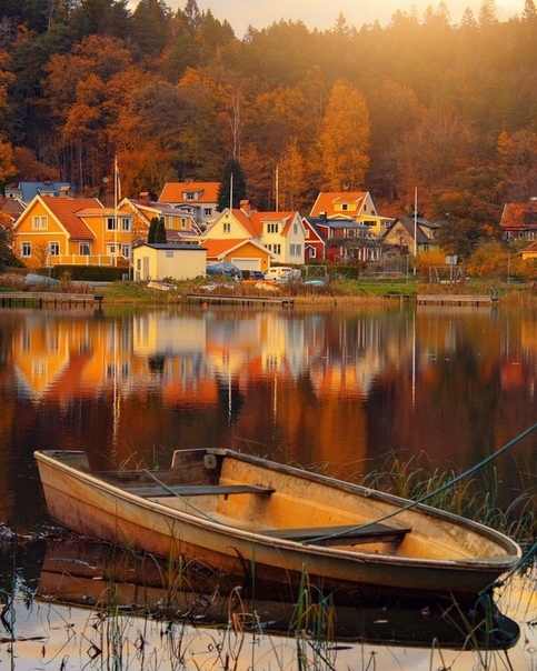 Mlnlycke 