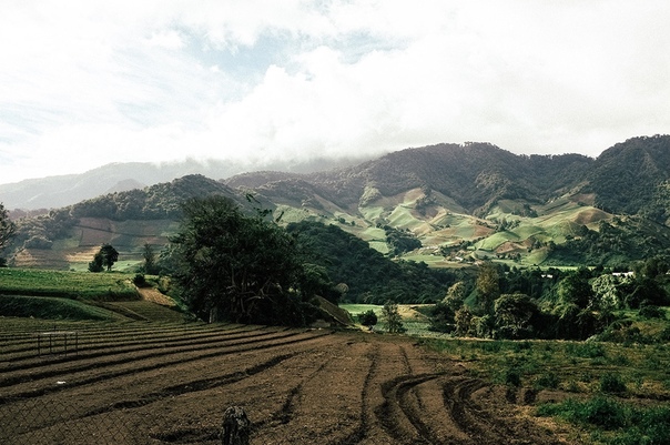 Mark Broyer - We are small