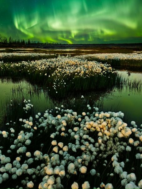 Финалист конкурса Русского географического общества «Самая красивая страна – 2018». Номинация «Пейзаж»