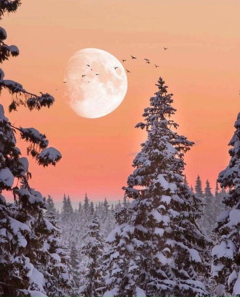 Вспоминая зимнюю Норвегию 