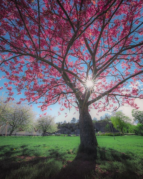 Норвегия // Tjme