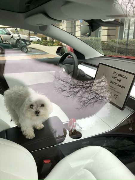 Угадай в какой стране.