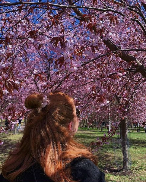 Весна в Хельсинки 