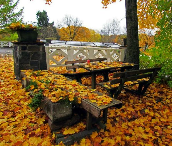 Осень в Осло