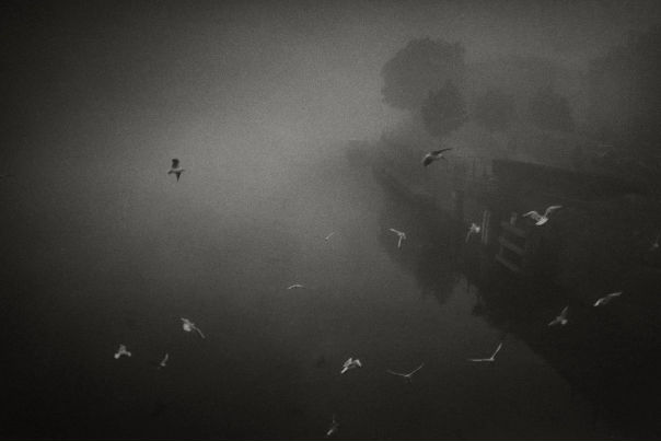 Гент, Бельгия, прогулка ранним утром.