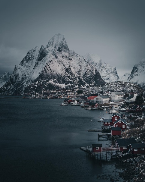 Reine 