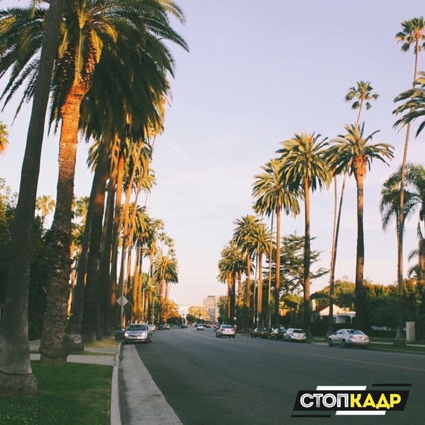 Один билет в Калифорнию пожалуйста