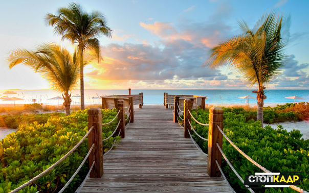 Разбежаться..... и в океан 