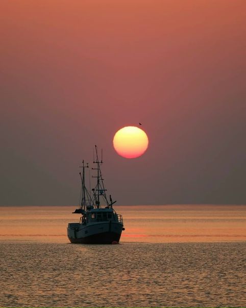 Норвегия // Mjelle