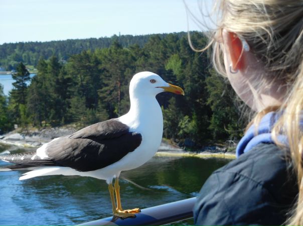 Min Sverige - juni 2016 