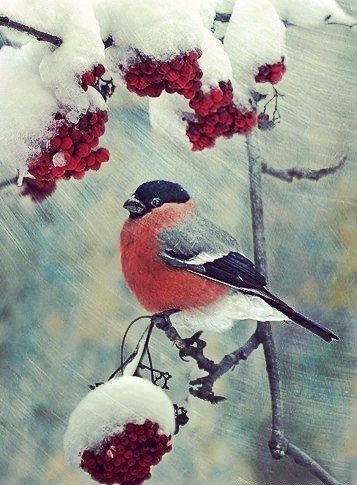 Уже совсем скоро