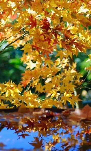 Не забывайте, что главная погода — это та, что в душе, а не за окном!