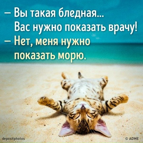 Ученые доказали, что море делает нас счастливыми: goo.gl/LPpqNH