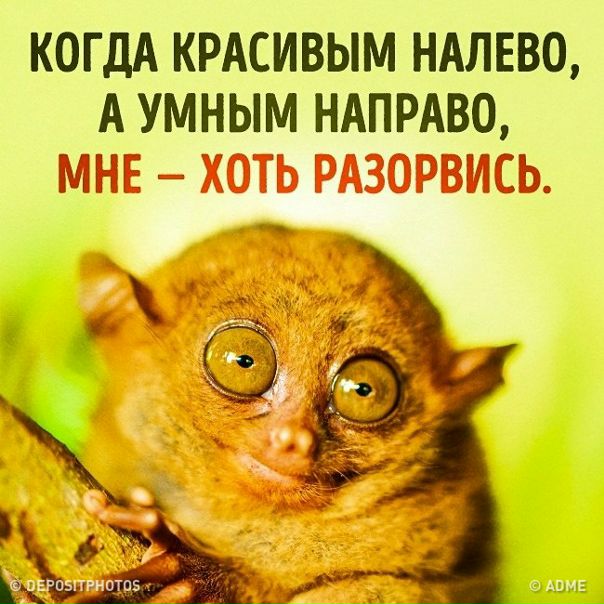 20 открыток с правдой жизни: goo.gl/fkQZng